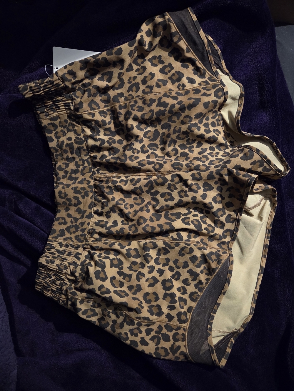 Hotty Hot HR 4" Short